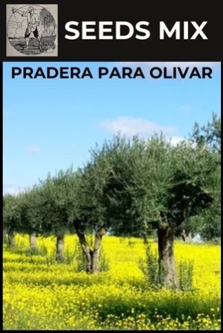 comprar cubierta vegetal olivar de secano