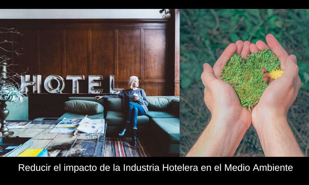 industria hotelera y el medio ambiente