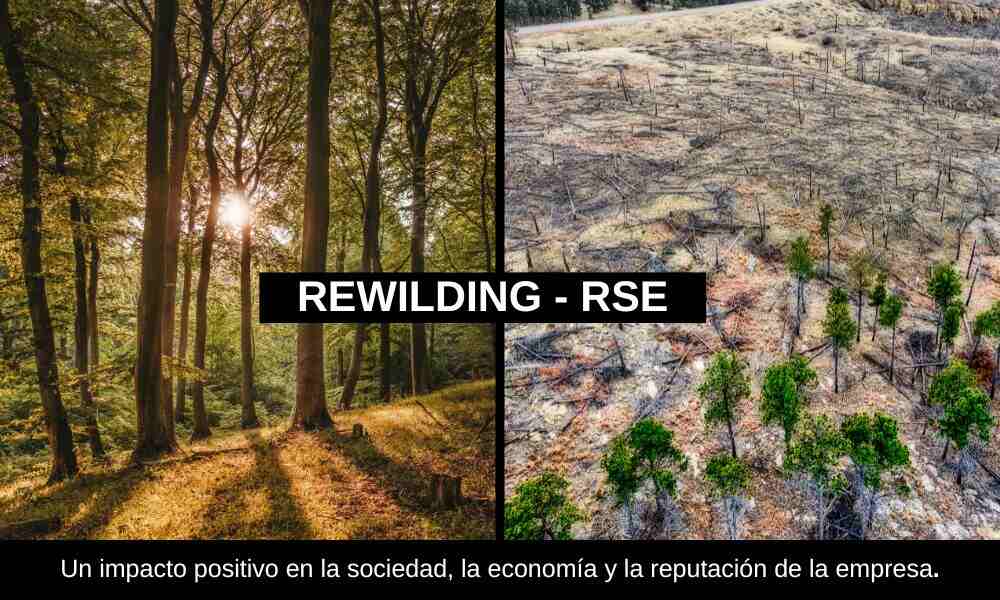 empresas de reforestación en españa